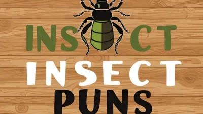 Insect Puns