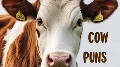 cow puns