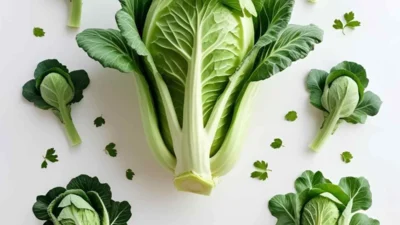 cabbage puns