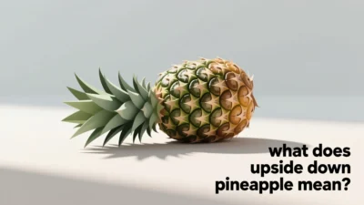 what does upside down pineapple mean